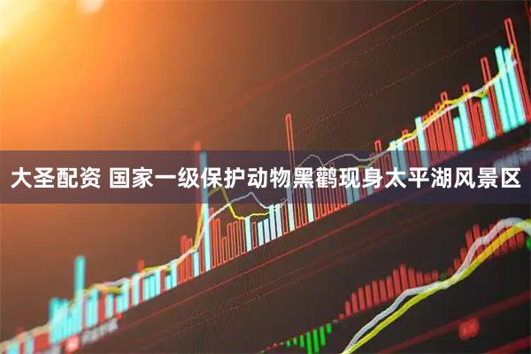 大圣配资 国家一级保护动物黑鹳现身太平湖风景区